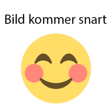Glasdörr